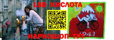PSILOCYBIN Камышлов
