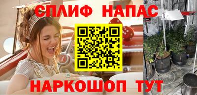 PSILOCYBIN Камышлов