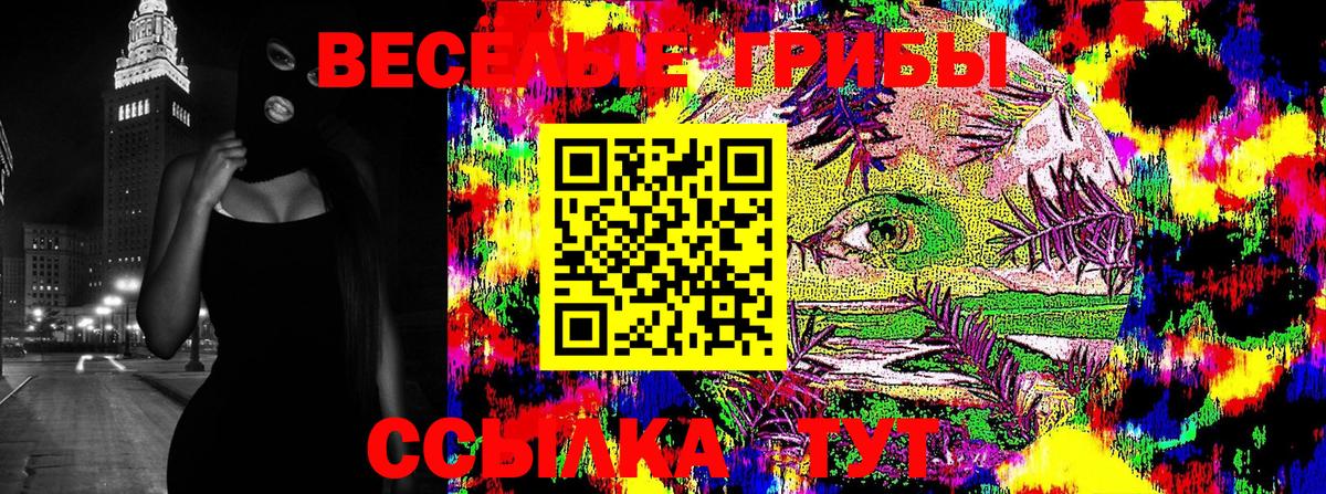 Галлюциногенные грибы Psilocybe  Вход с VPN  Красноуфимск 